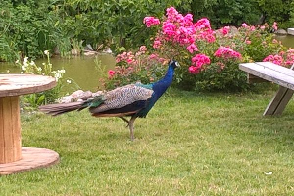 WP_20160813_16_40_59_Pro